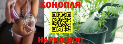 хмурый Гай