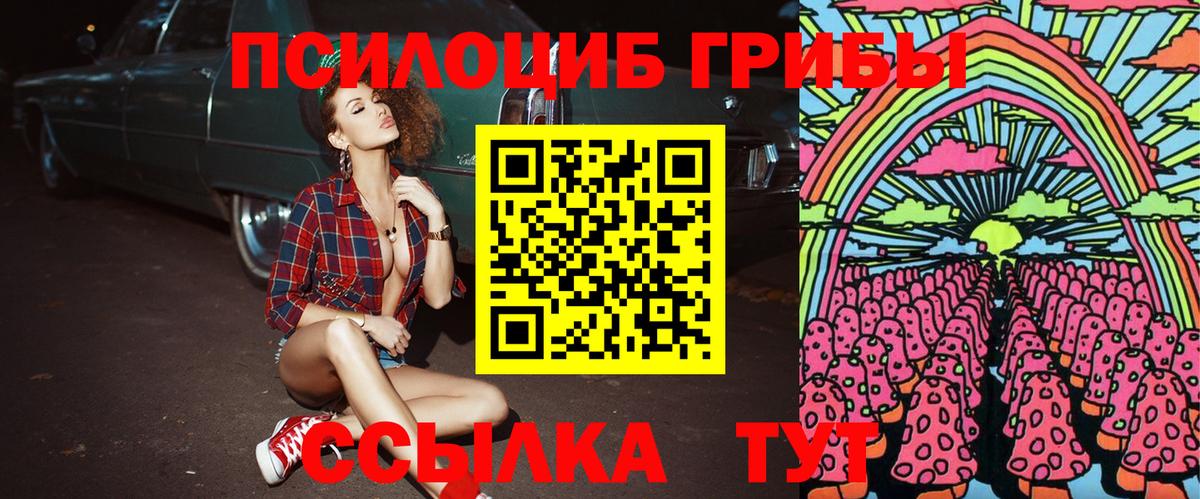 Псилоцибиновые грибы мицелий Тулун