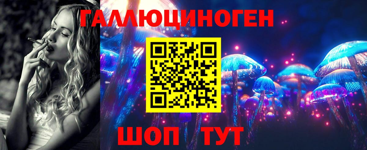 Тулун  Псилоцибиновые грибы Psilocybine cubensis  Вход с VPN 